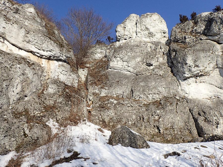 Skały Rzędkowickie