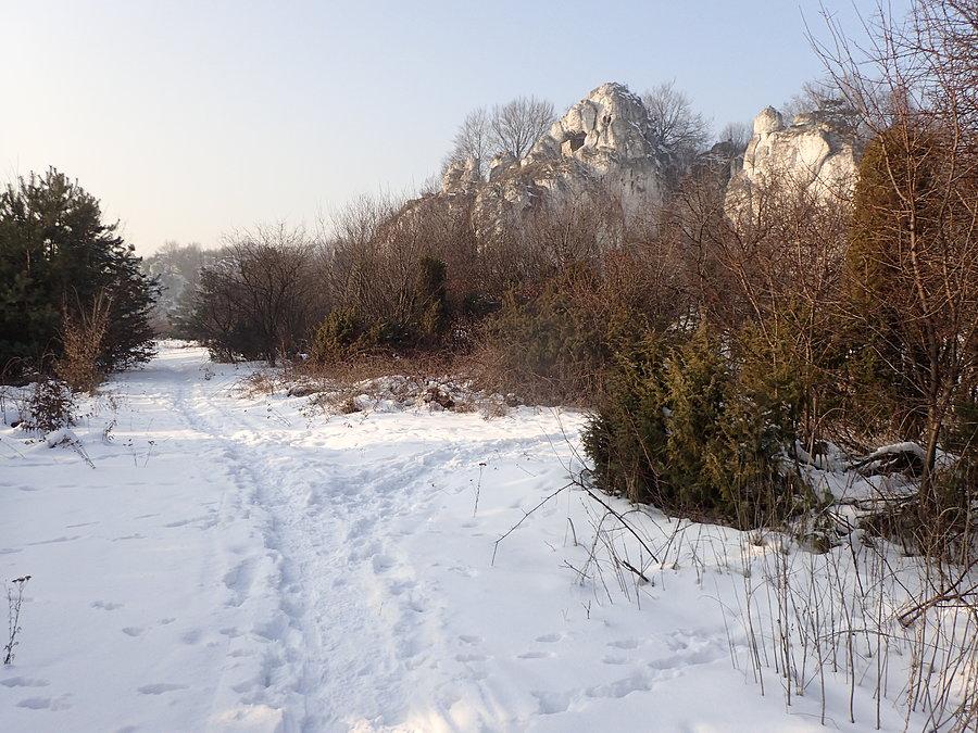 Powrót do Rzędkowic