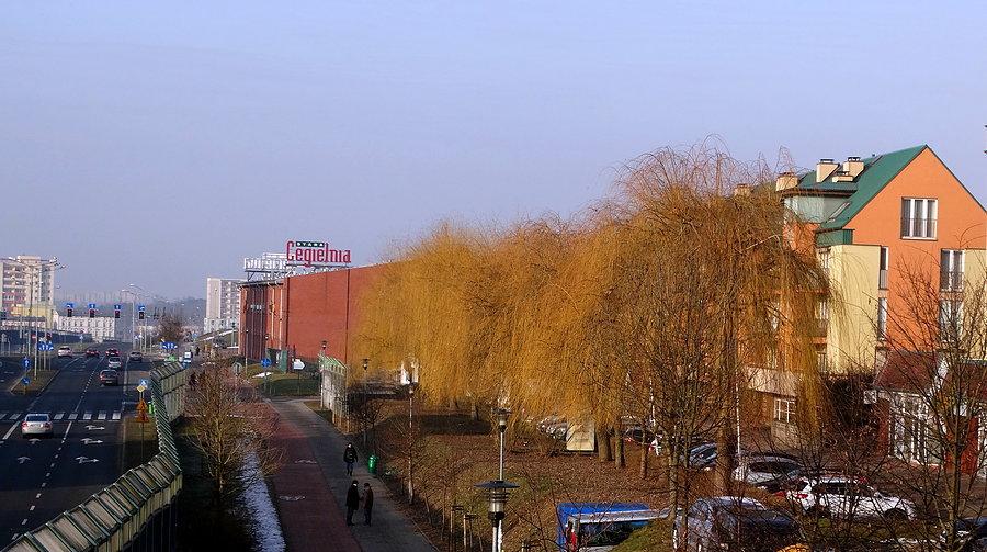 Przyjaciół Żołnierza i wierzby płaczące