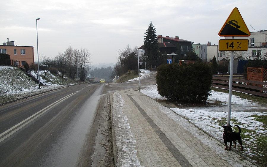 Szybki zjazd (Jesionowa i Lipowa). Ten piesek najpierw szczekał a później chciał pieszczot :)