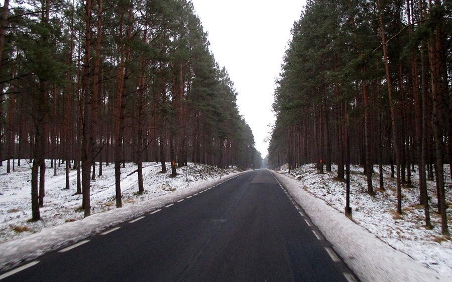 Droga powrotna to przeszło 20 km takiej leśnej szosy :)