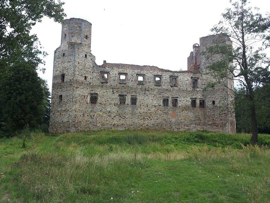 Drzewica