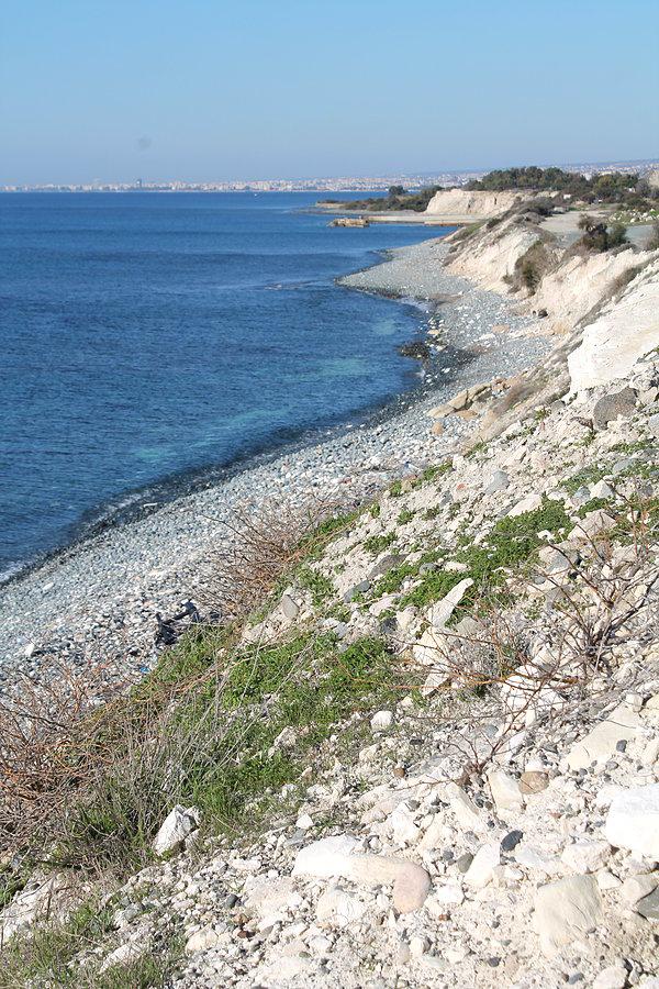 Costa de Limassol