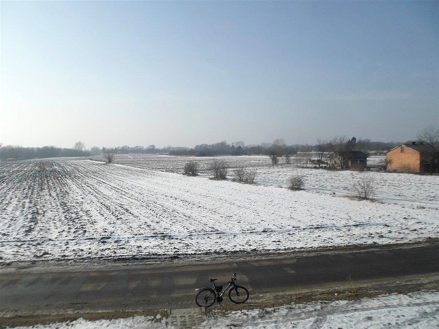 Pola w Kępie Okrzewskiej