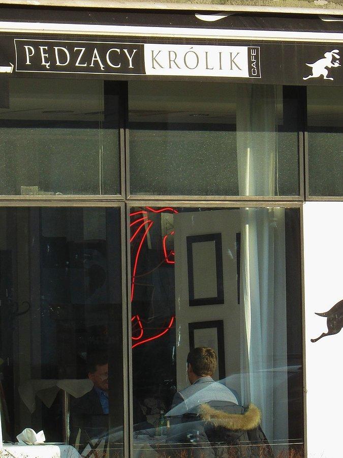 Pędzący Królik na Moliera