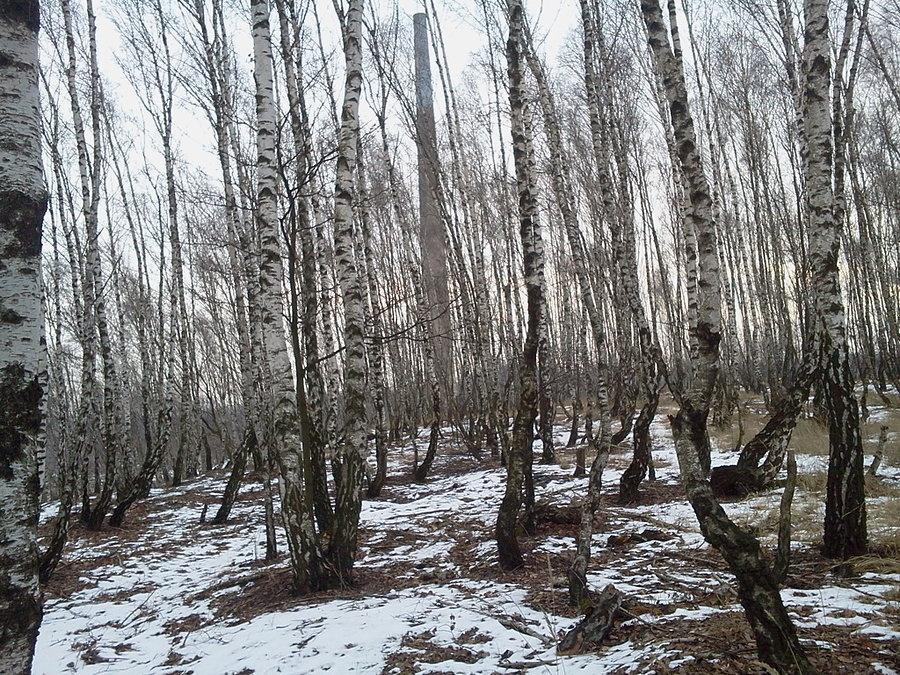 Na hałdzie