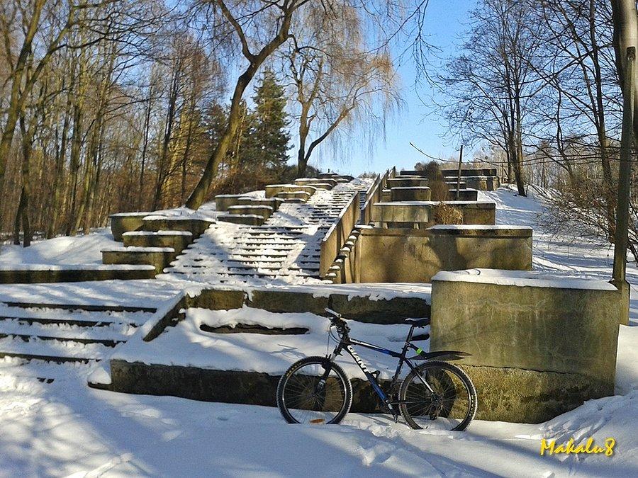 Park w Reptach zimą