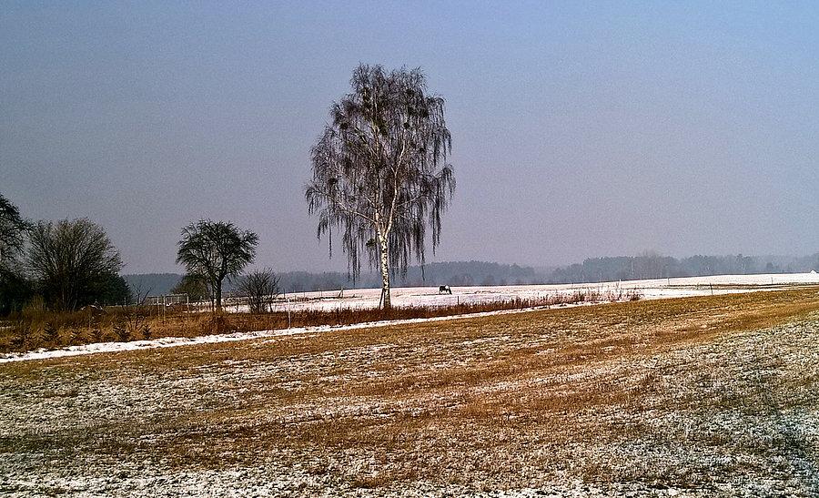 Lutowy krajobraz pod Blankensee