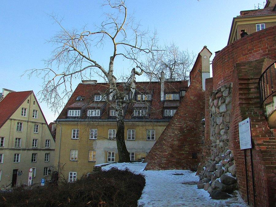 Starówka - topola przy Brzozowej