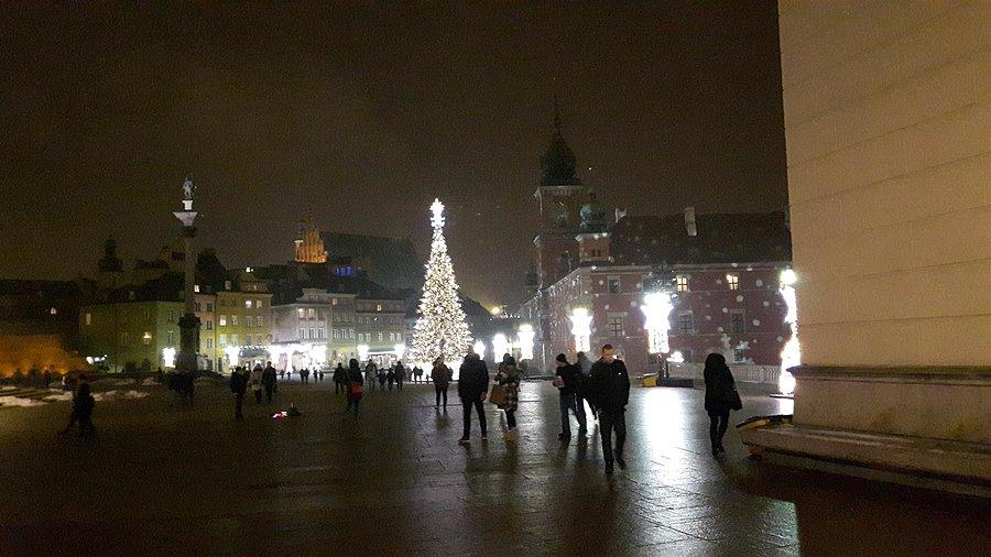 Choinka na Placu Zamkowym
