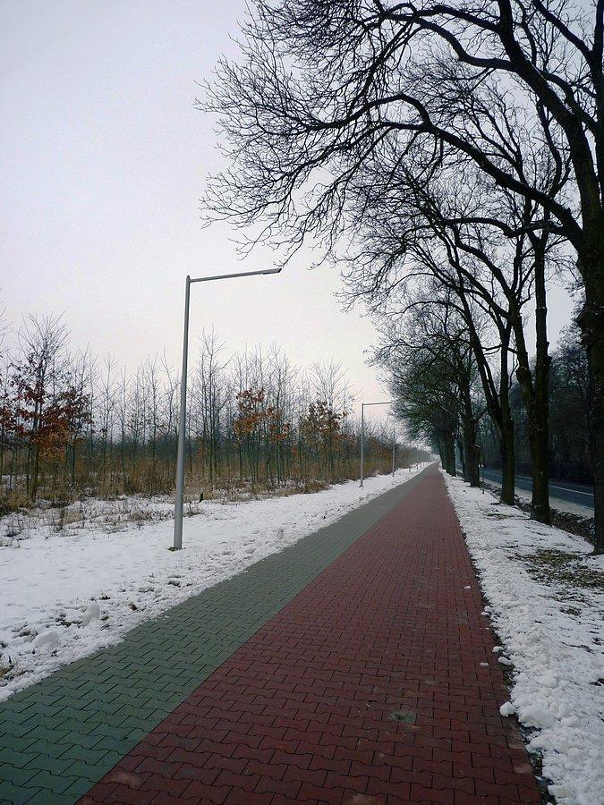Strzykuły - Kaputy
