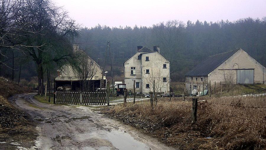 Bledzew - droga do młyna nad Tymianą (Thiems Mühle)