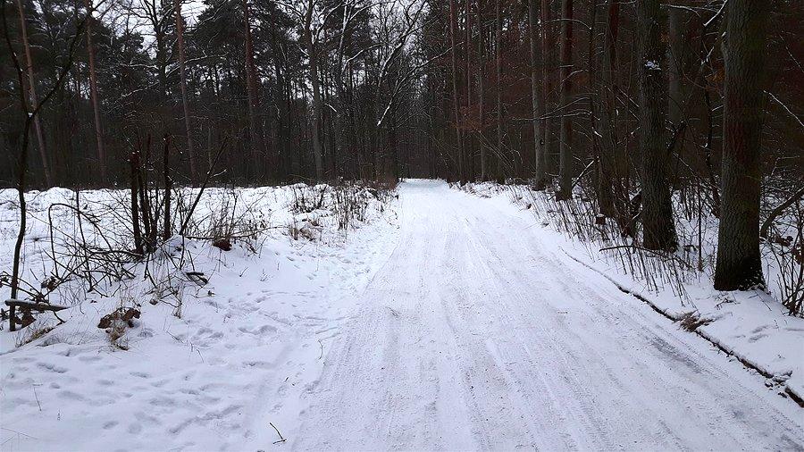 Leśny odcinek do Komorowa (1,5 km)