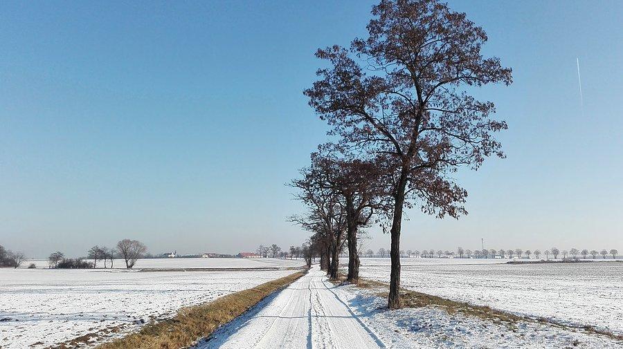 Zimowy widok na Biskupice z drogi do Strzegomian