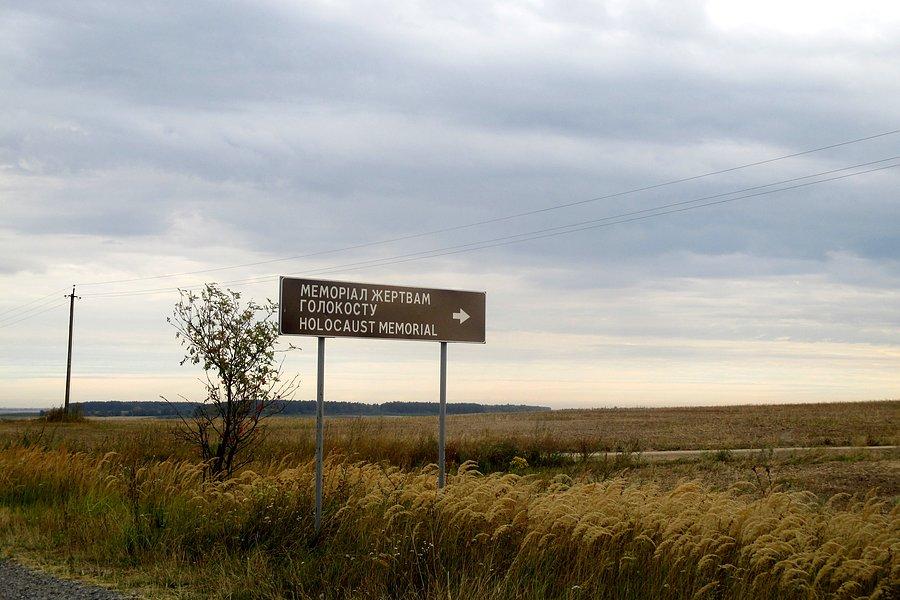 Okolice Kisielina
