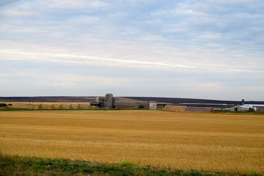 Żniwa, żniwa i po żniwach