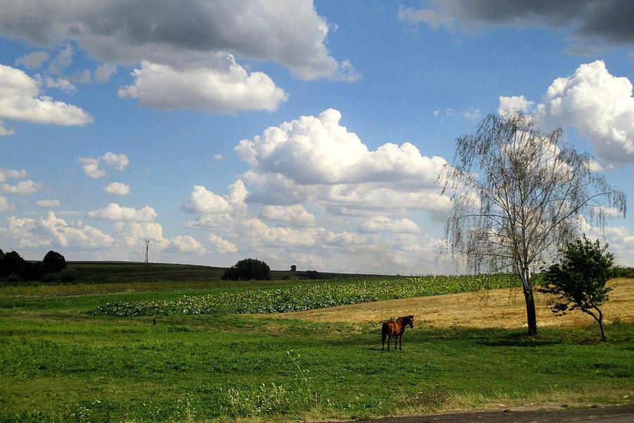 Wołyński krajobraz