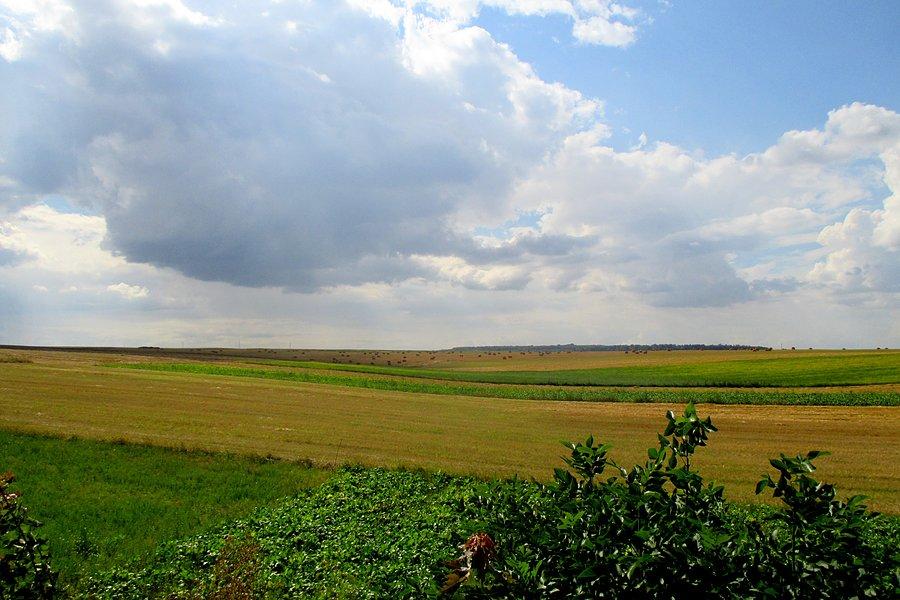 Pogranicze między rejonem wołyńskim i lwowskim