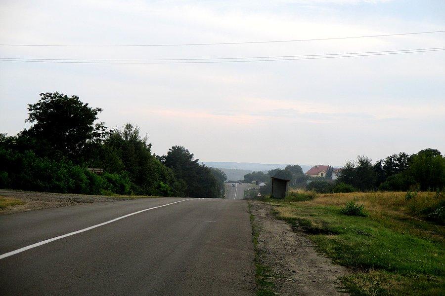 Hopki w okolicach Wisłoboków