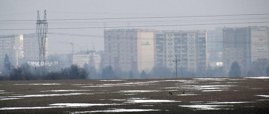 Zdjęcie w mglisty poranek, widok spod Będargowa