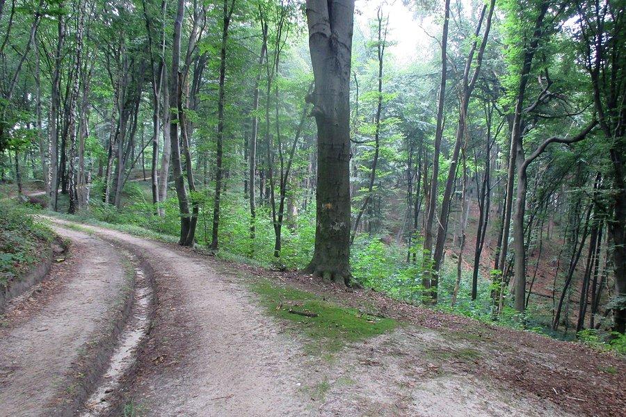 Podjazd pod Czartowską Skałę