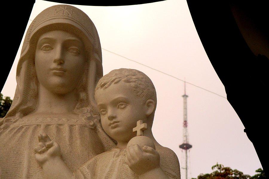 Maryja z dzieciątkiem z iglicą masztu na Wysokim Zamku w tle