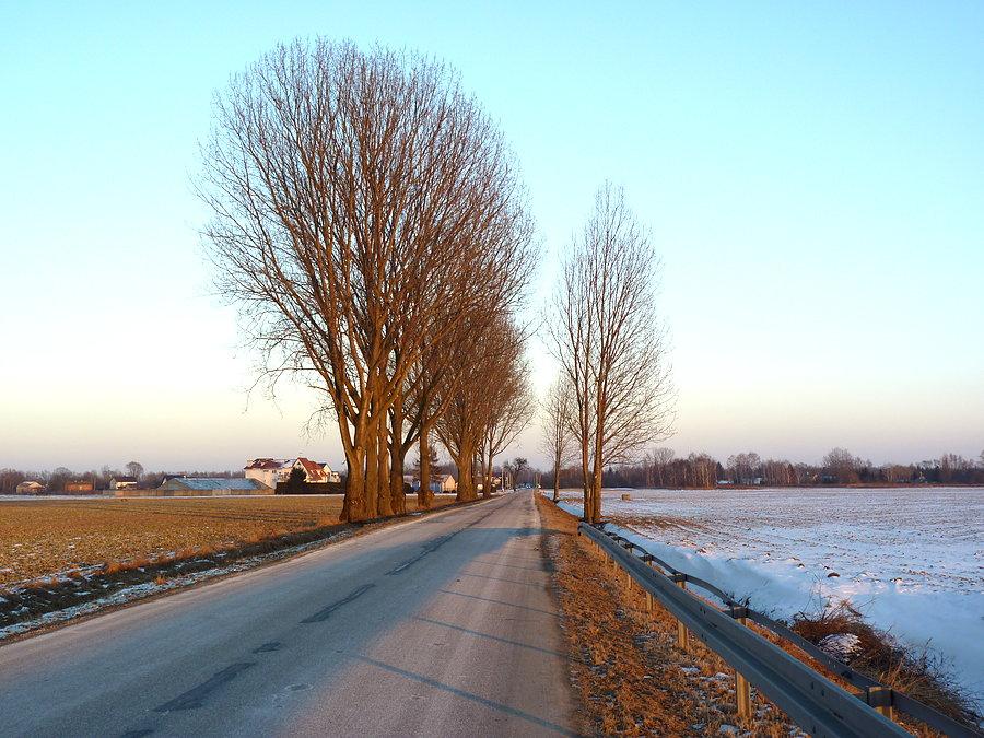 Widoczek nr 6