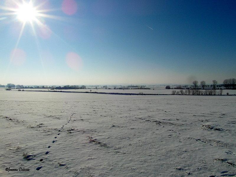 Żuławy Gdańskie zimą