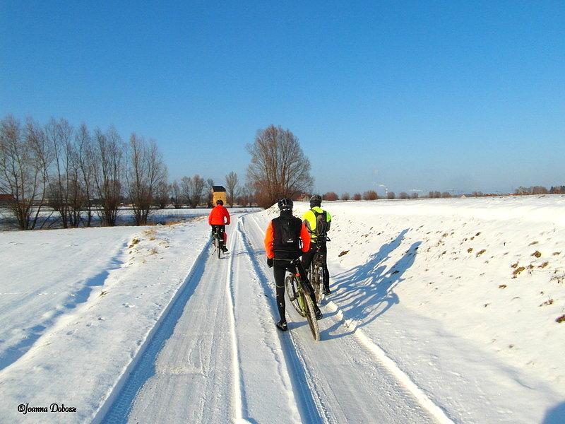 Kierunek paltrak w Mokrym Dworze