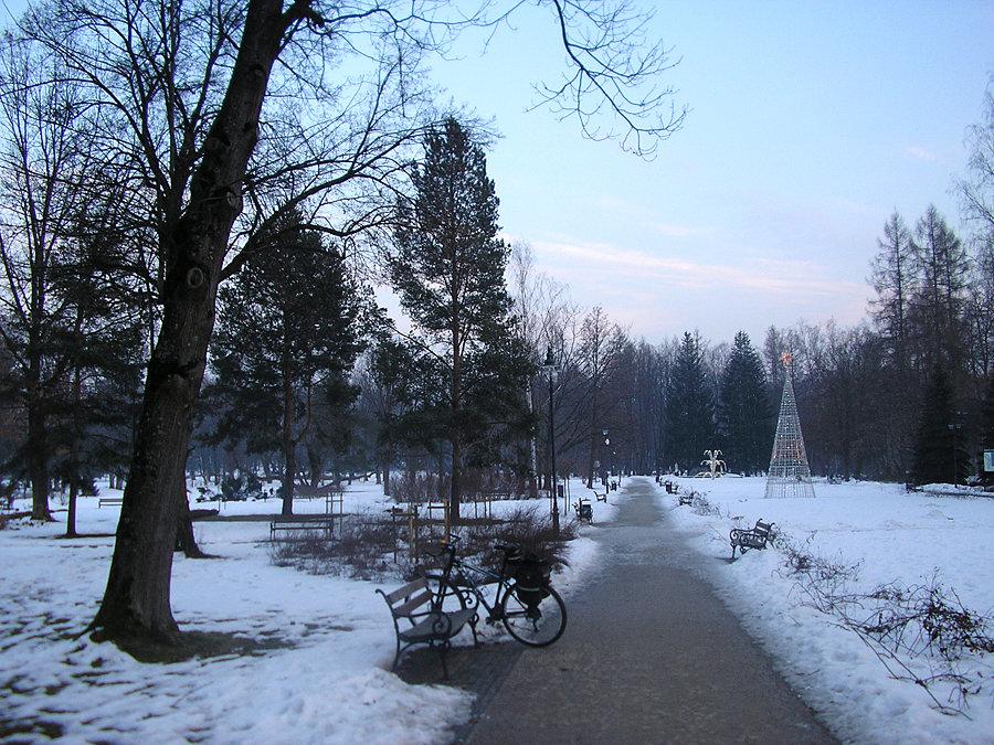 Park w Rabce. Są jeszcze świąteczne dekoracje