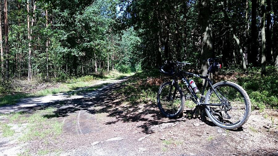 Kross na szlaku