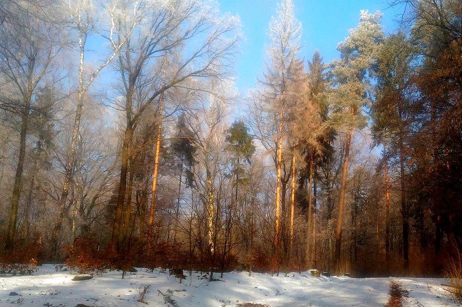 Wracają kolory
