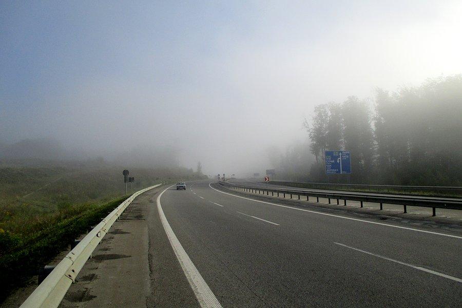 Mgła pod Lwowem