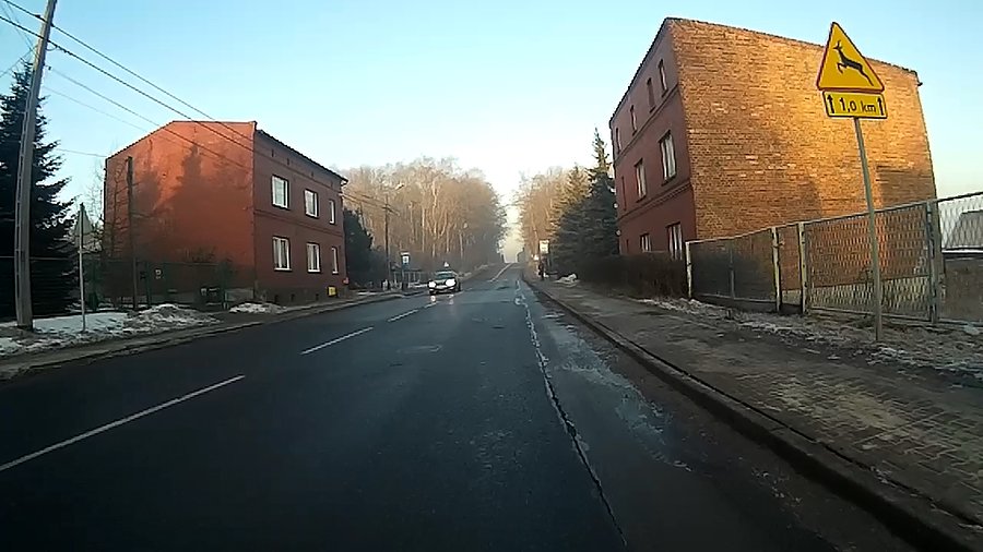Mrówcza góra wczoraj lepiej wyglądała
