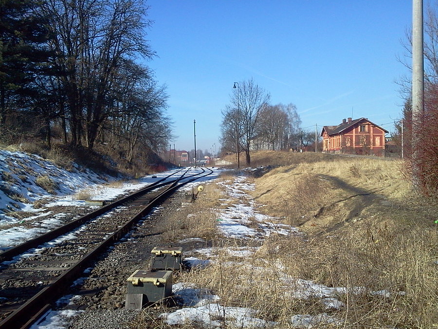 Orłowa