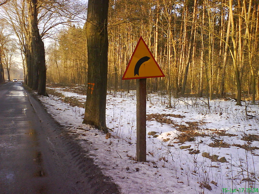W lasach wszędy śniegi. Gratis betonowy znak. ;)