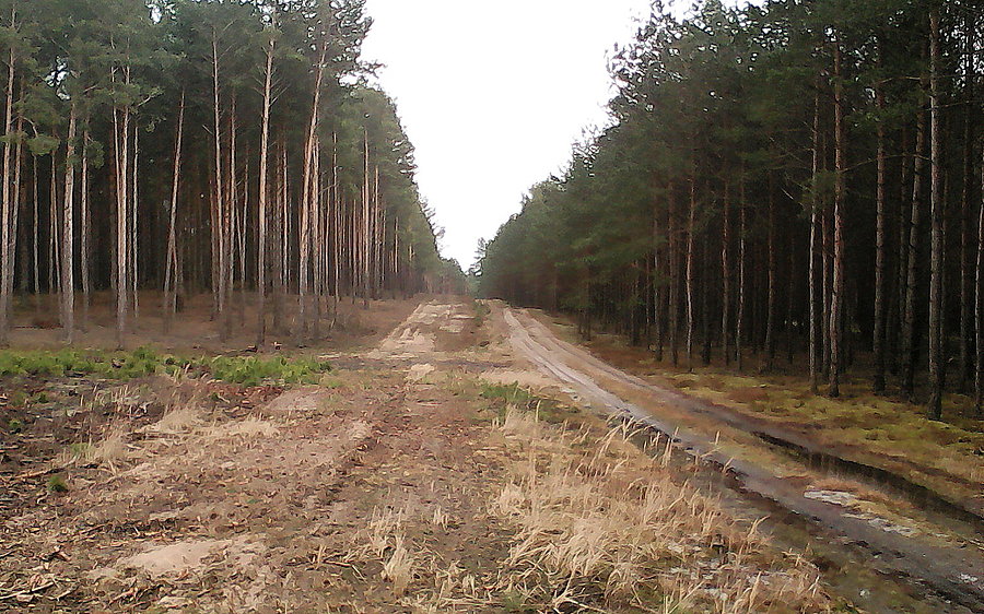 Diabelska Góra