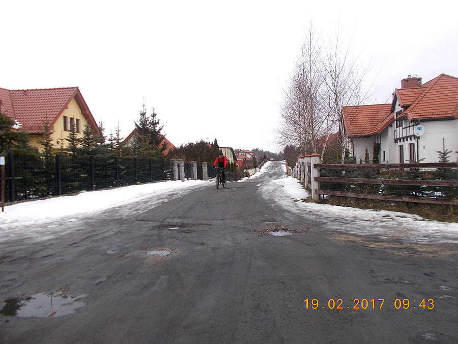 Ulica Wiązowa