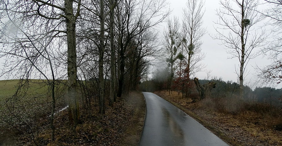 Droga Blankensee - Bismark ( 5 km ) w deszczu