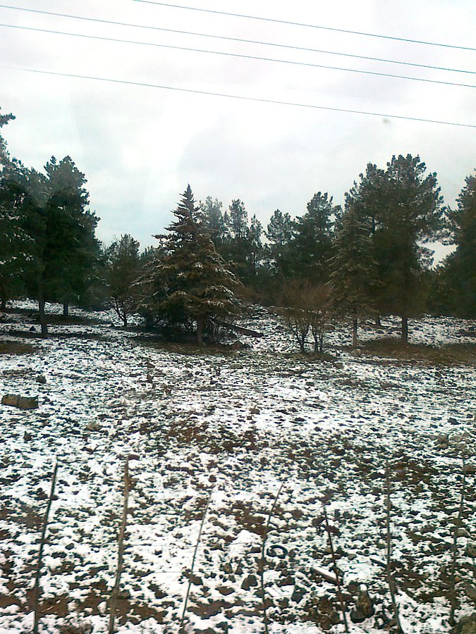 A to na potwierdzenie. Na Wzgórzach Golan akurat spadł śnieg