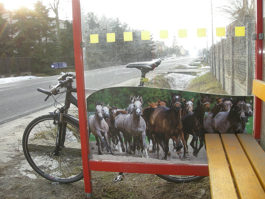 Sztuka na przystanku autobusowym w