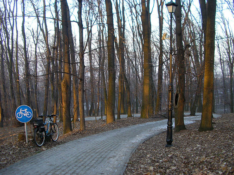 Zjazd alejką