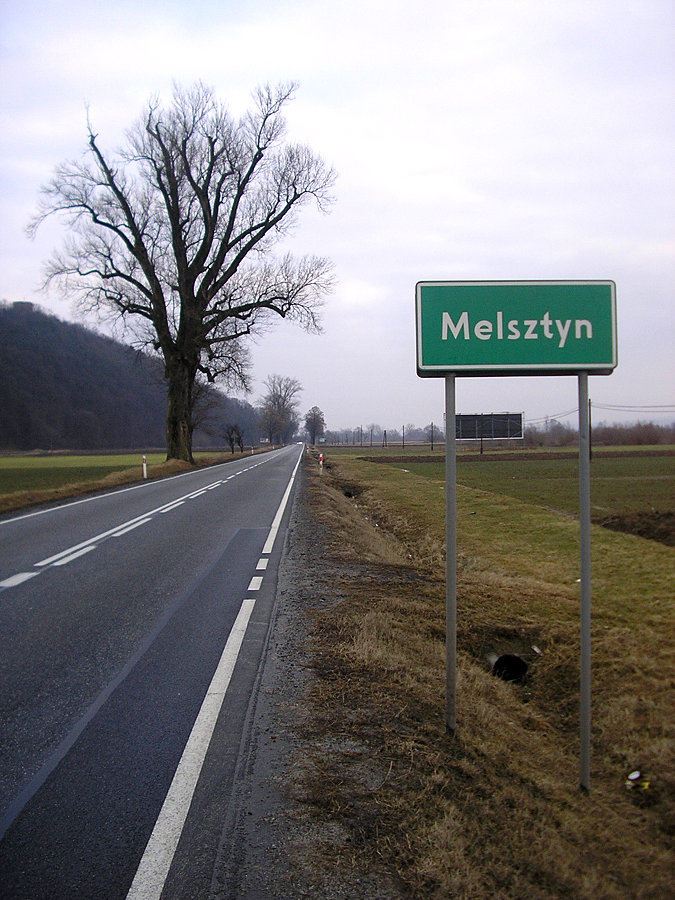 Jest Melsztyn, jest i topola. Z daleka nie wygląda może jakoś nadzwyczajnie