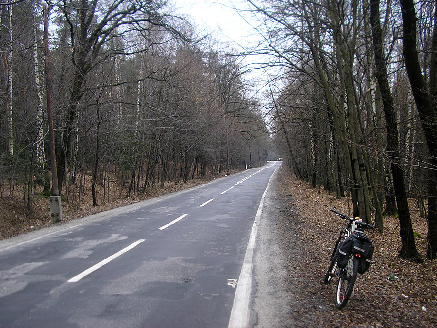Fajny leśny odcinek