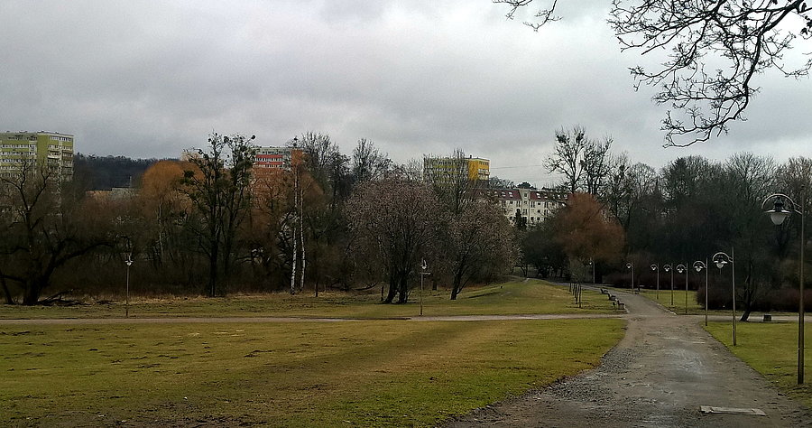 Pod lasem w deszczową środę