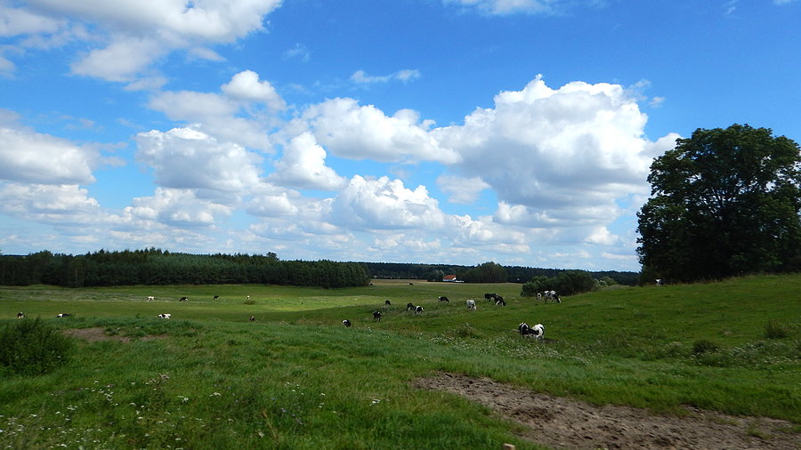 Wyprawa, dzień 7 - typowy widoczek