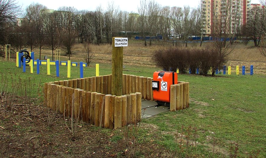 Wybieg dla psów w Dolince Służewieckiej
