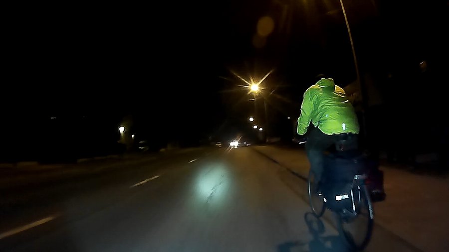 Króliczek na podjeździe na mrówczą górkę :)