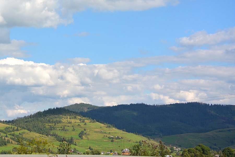 Pławie