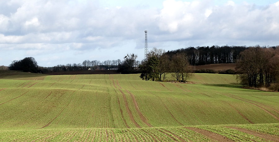 Zielenią się łąki pod Mewegen
